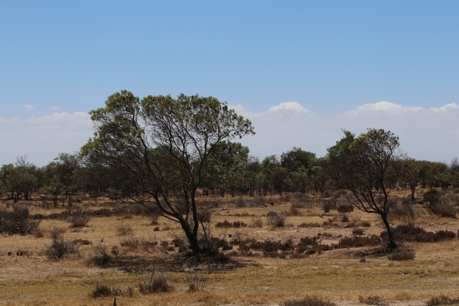 5 Bedroom Property for Sale in Darling Western Cape